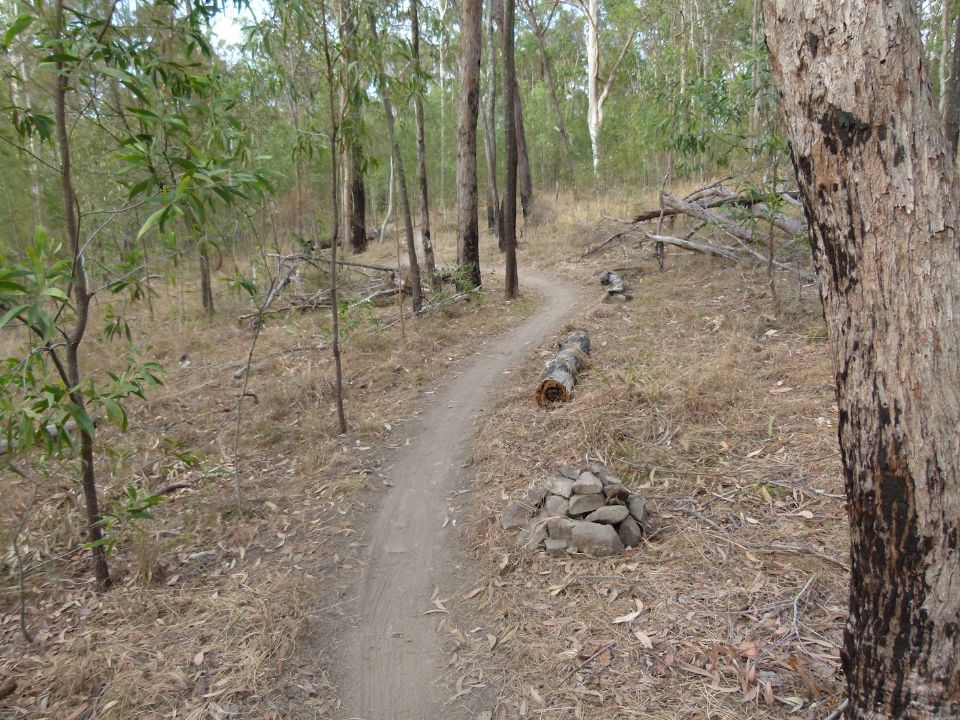 New trail
